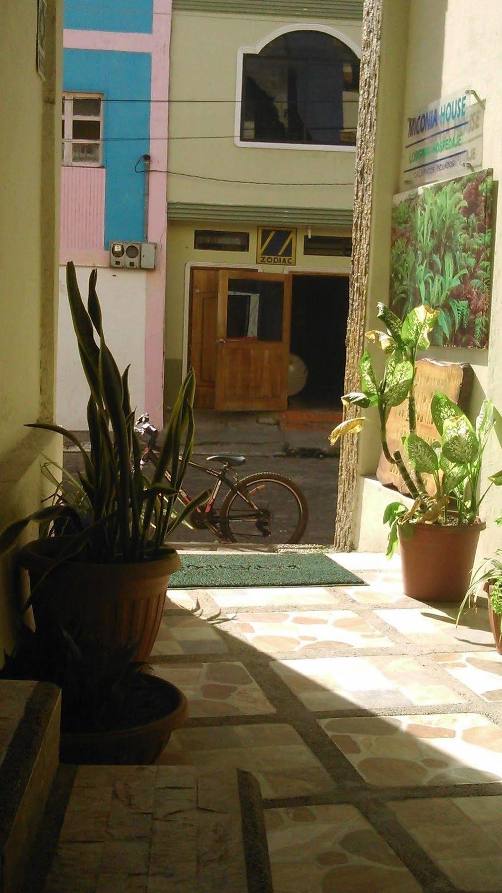 Hostal Miconia Puerto Ayora  Esterno foto